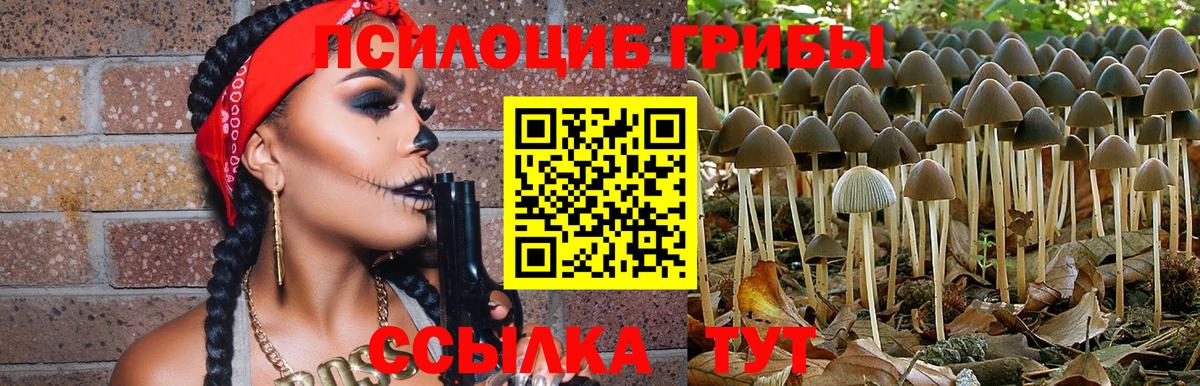 Мценск  Галлюциногенные грибы Magic Shrooms  Вход с VPN 