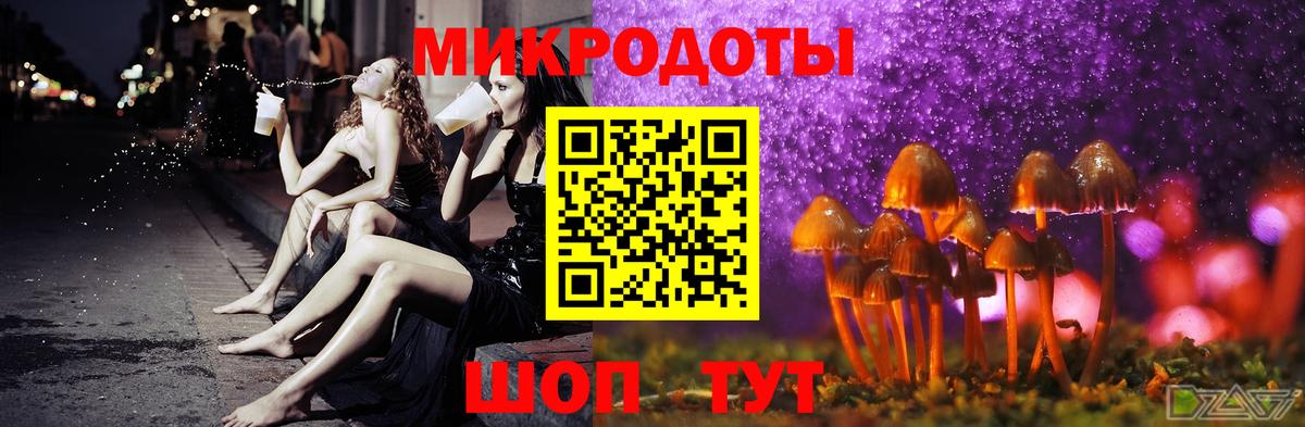 Псилоцибиновые грибы Psilocybine cubensis Мценск